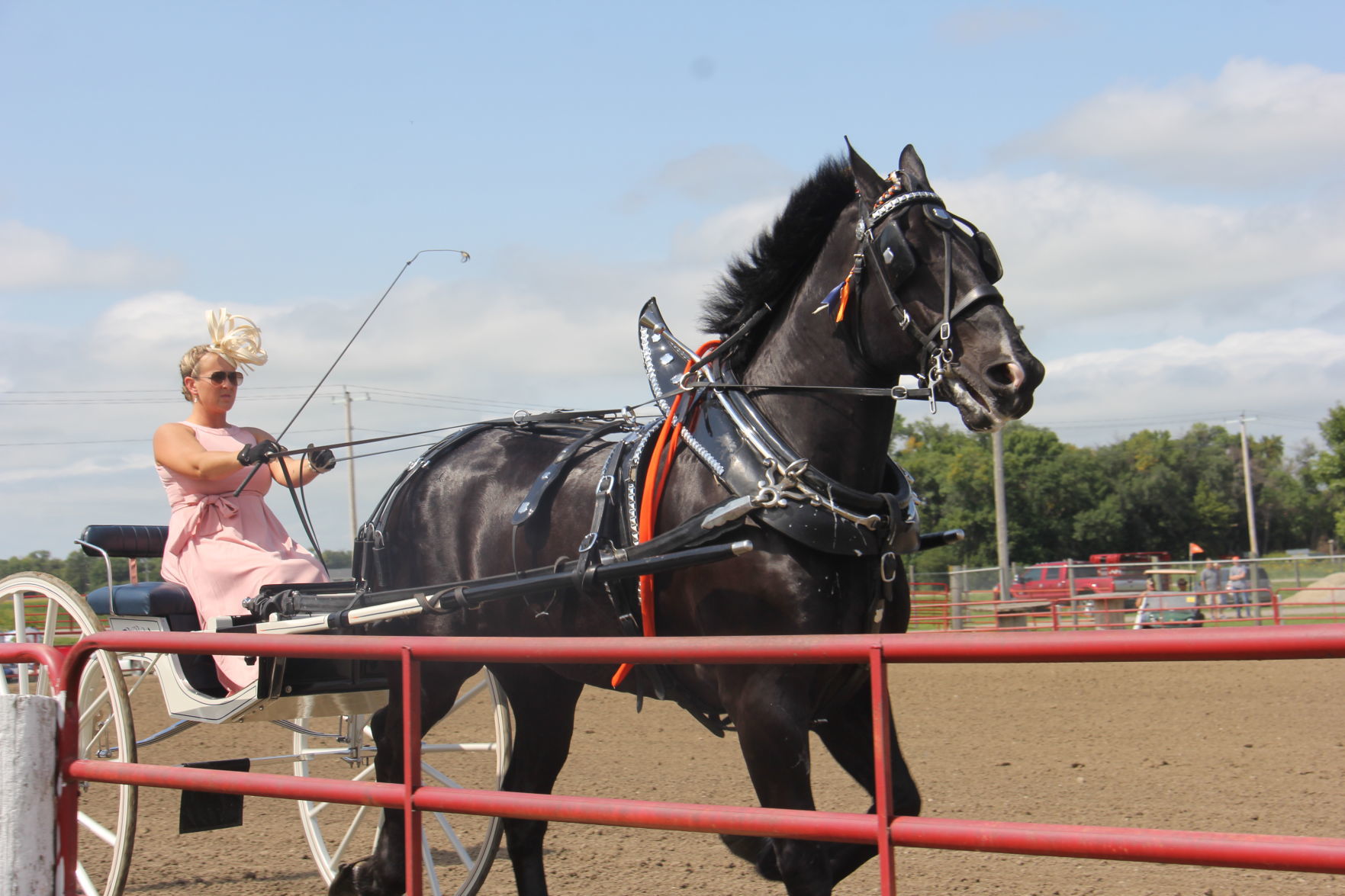 Christina Wagner, Ladies Cart, Britt Draft Horse Show